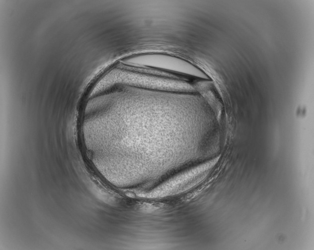 X0000090700346200708101447