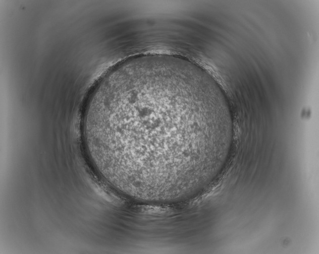 X0000090700347200708101447