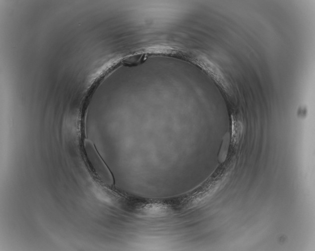 X0000090700348200708101447