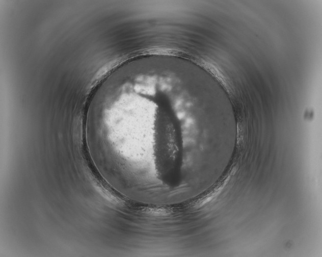 X0000090700349200708101447