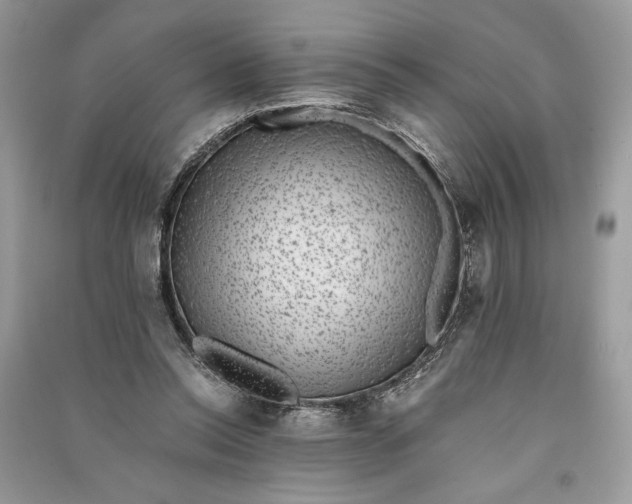 X0000090700350200708101447
