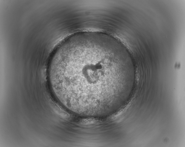 X0000090700351200708101447