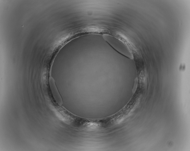 X0000090700352200708101447