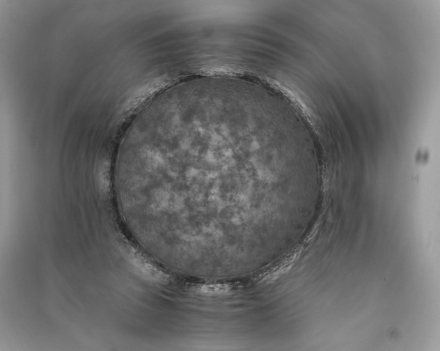 X0000090700353200708101447