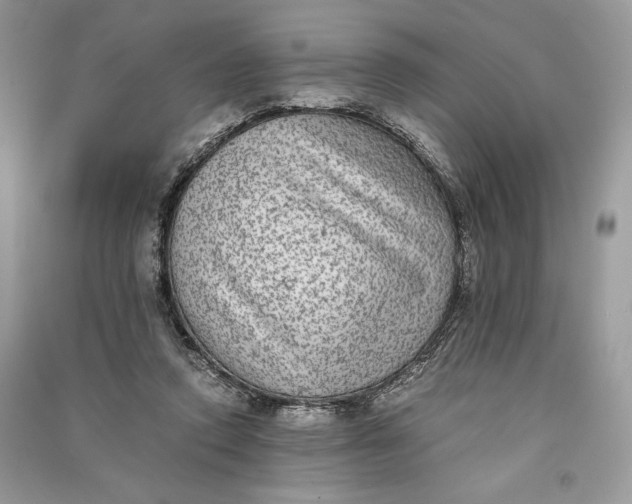 X0000090700354200708101447