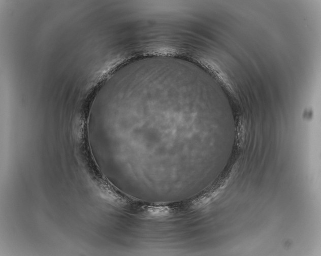 X0000090700355200708101447