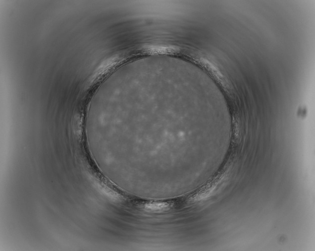 X0000090700357200708101447