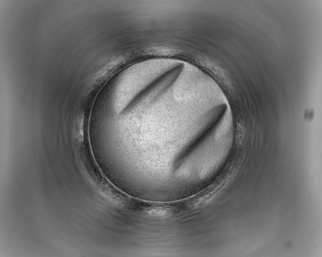 X0000090700358200708101447
