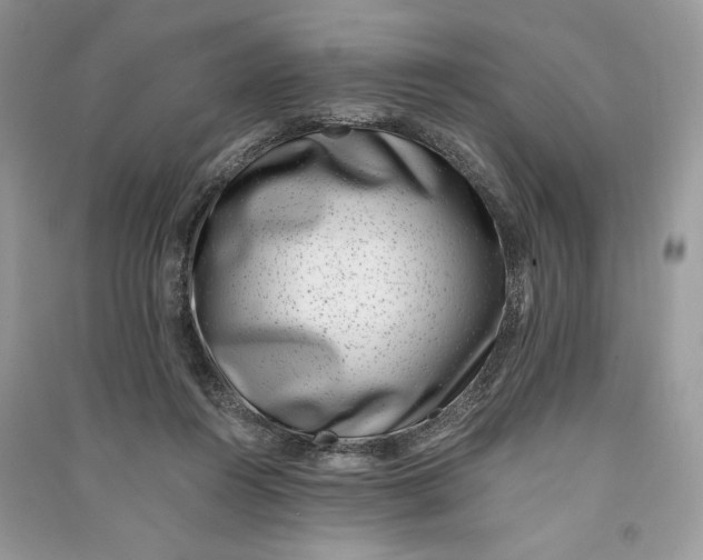 X0000090700360200708101447