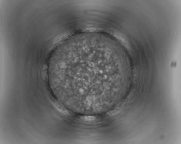 X0000090700361200708101447