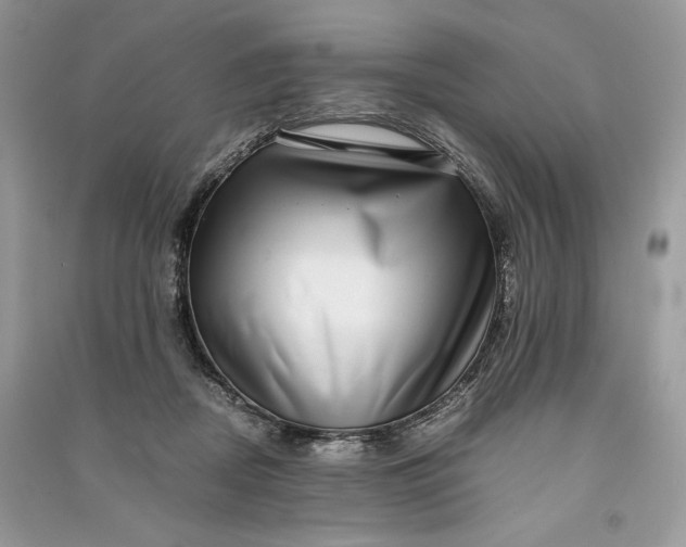 X0000090700362200708101447
