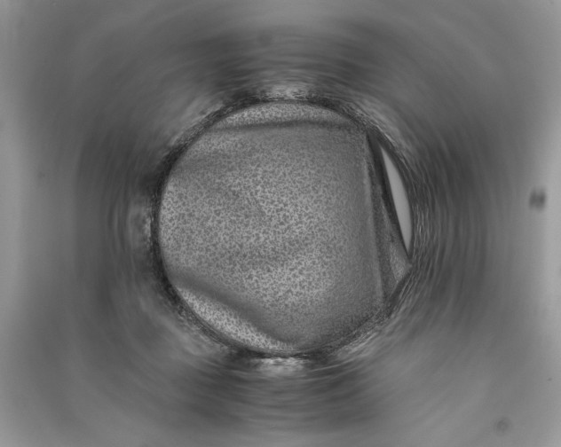 X0000090700363200708101447