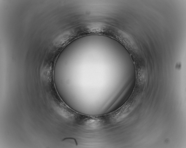X0000090700364200708101447