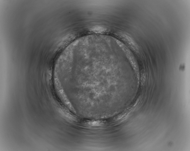 X0000090700365200708101447
