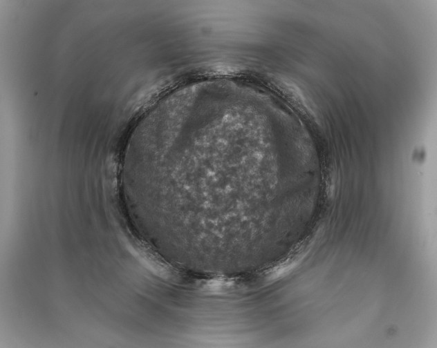 X0000090700366200708101447