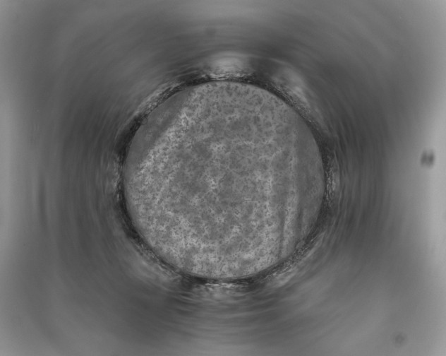 X0000090700367200708101447