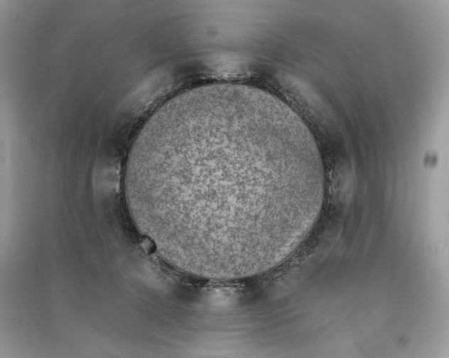 X0000090700368200708101447