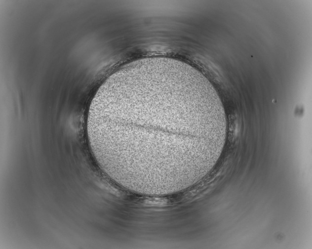 X0000090700369200708101447