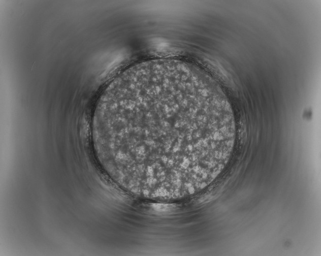 X0000090700371200708101447