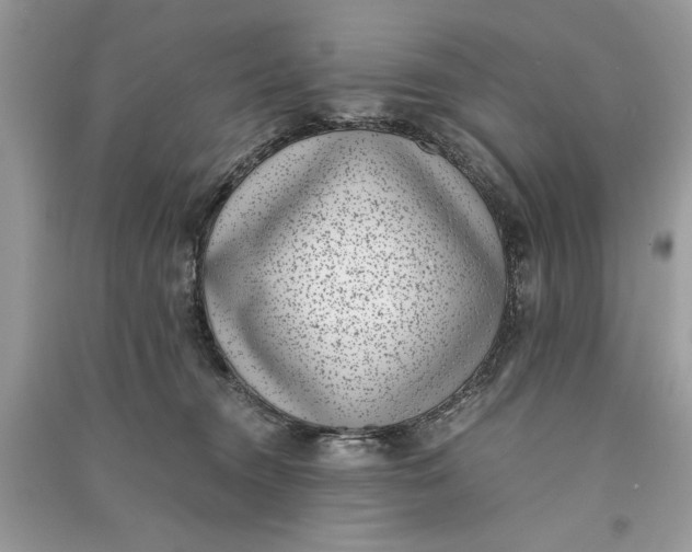 X0000090700372200708101447