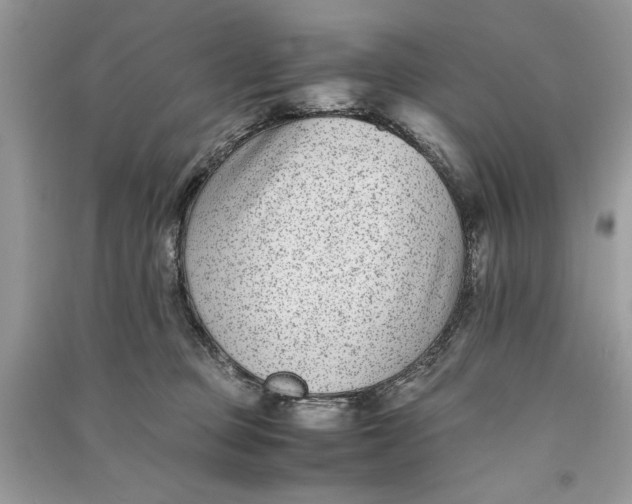 X0000090700373200708101447