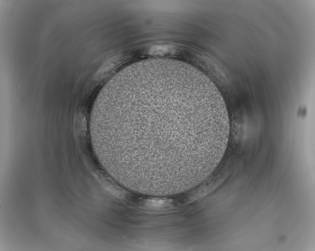 X0000090700375200708101447