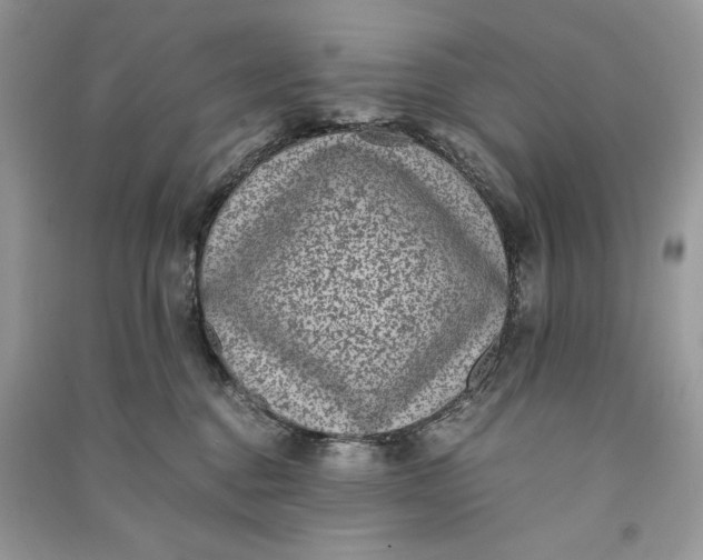 X0000090700376200708101447