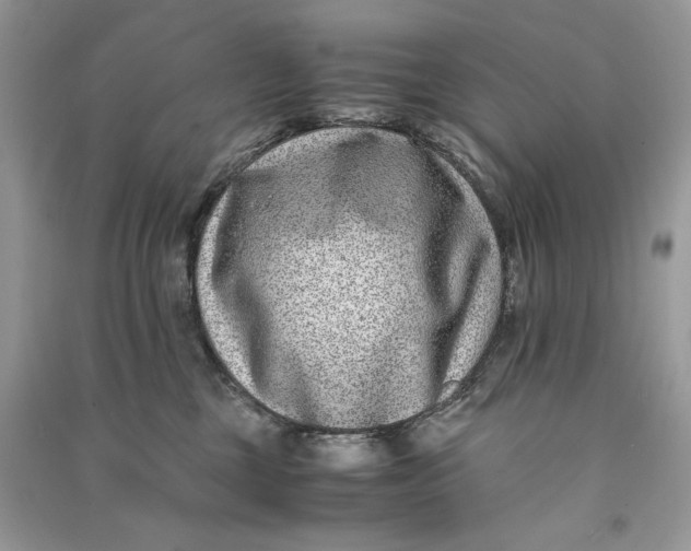 X0000090700377200708101447