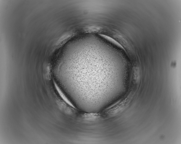 X0000090700378200708101447