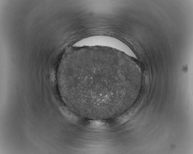 X0000090700380200708101447