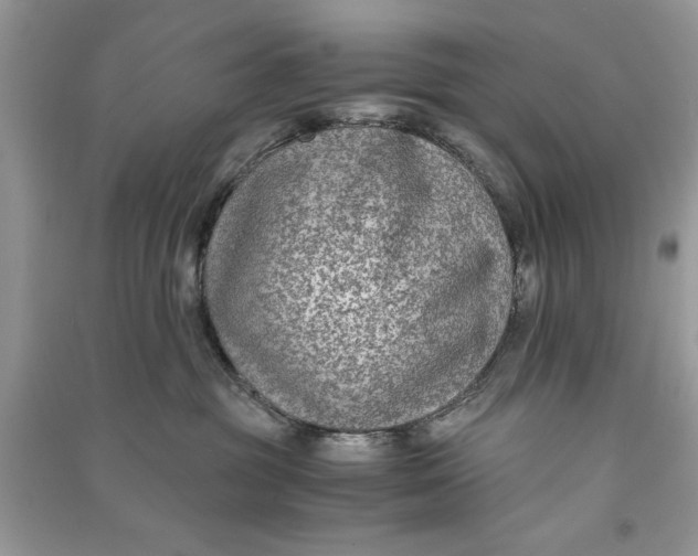 X0000090700381200708101447