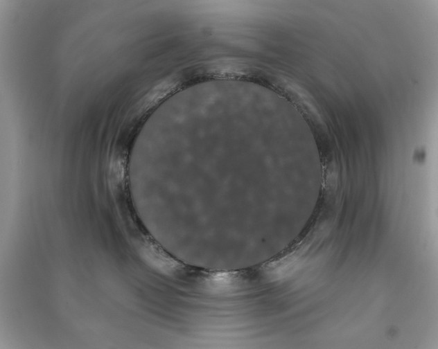 X0000090700382200708101447