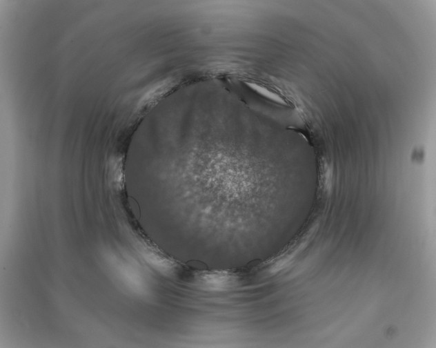X0000090700383200708101447