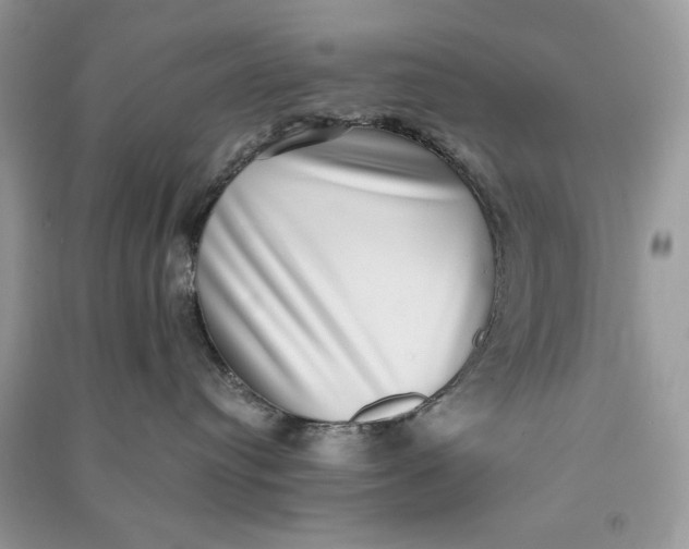 X0000090700384200708101447