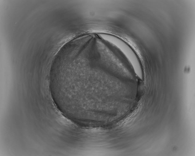 X0000090700385200708101447