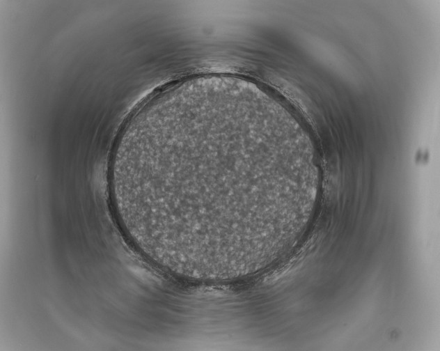 X0000090700386200708101447