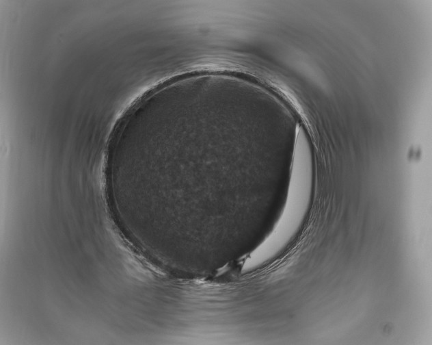 X0000090700387200708101447
