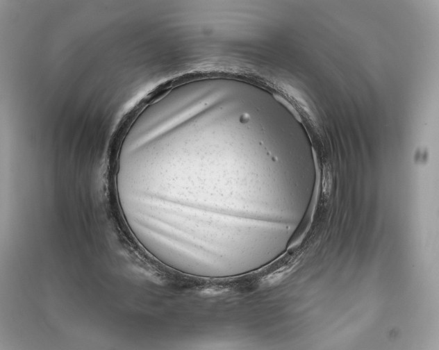X0000090700388200708101447