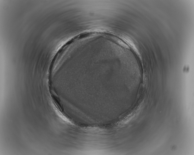 X0000090700389200708101447
