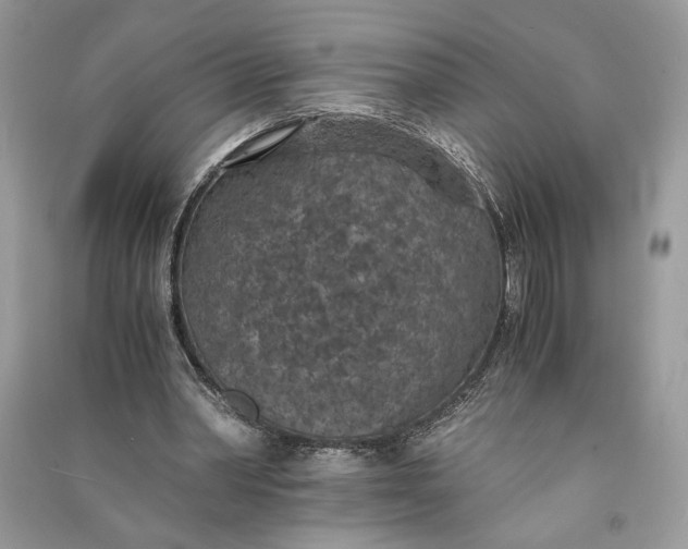 X0000090700390200708101447