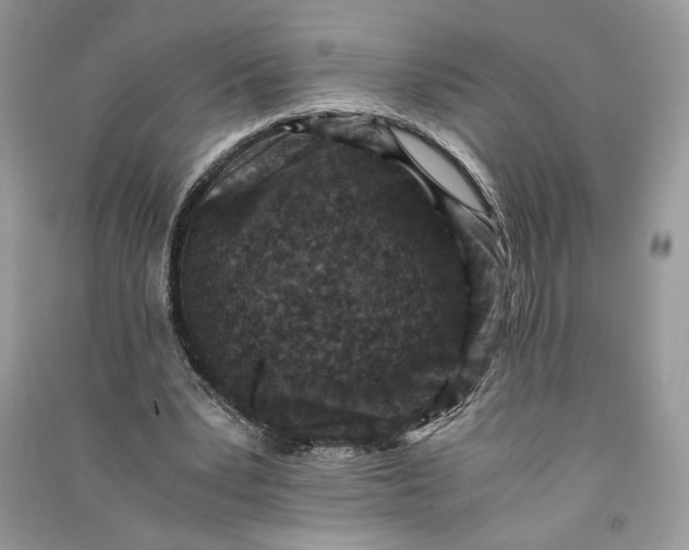 X0000090700391200708101447