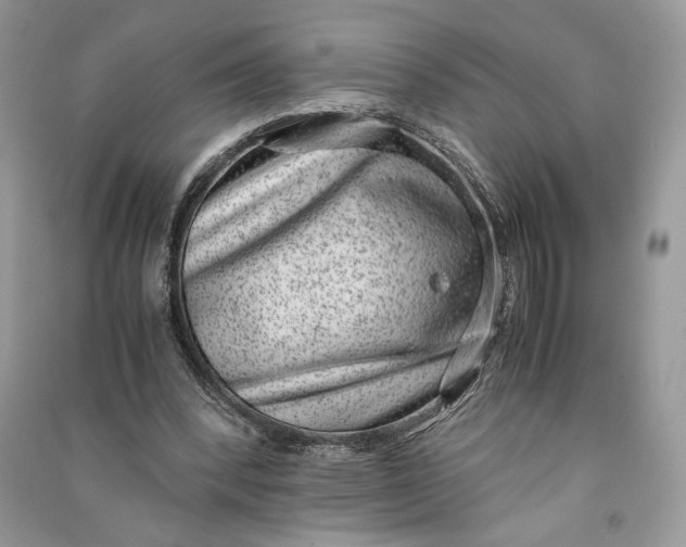 X0000090700392200708101447