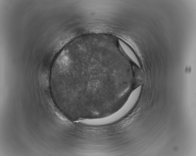 X0000090700393200708101447