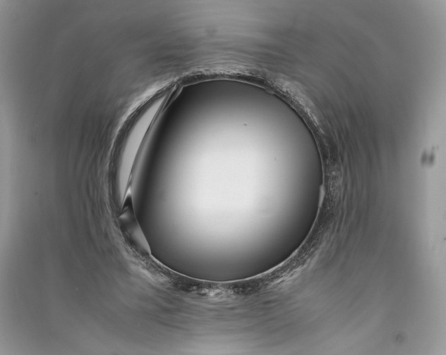 X0000090700395200708101446