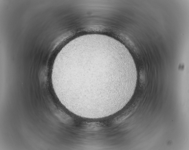 X0000090700396200708101446