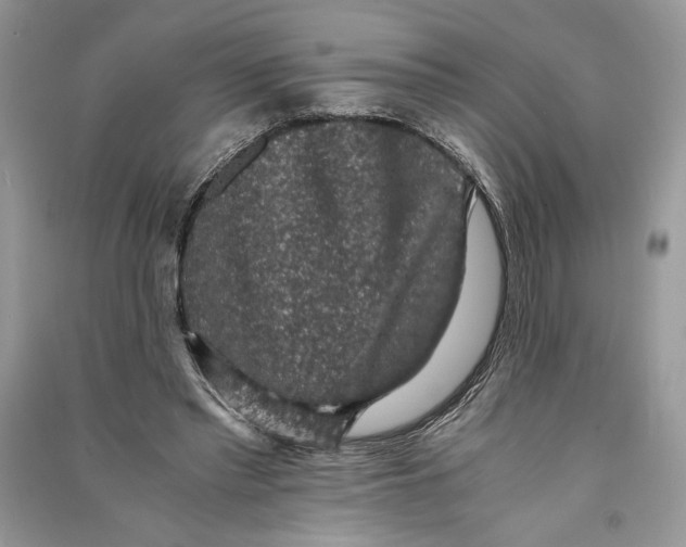 X0000090700397200708101446