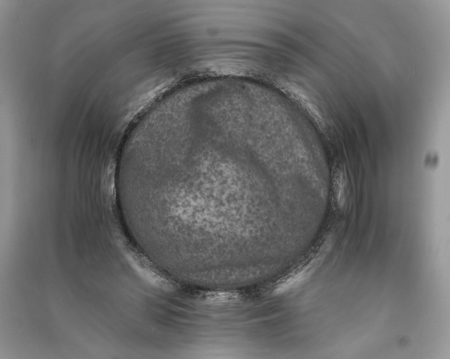 X0000090700398200708101446