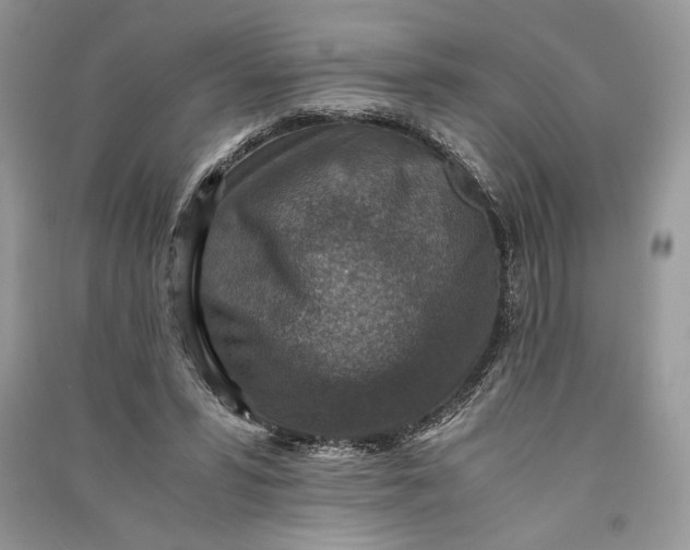 X0000090700399200708101446