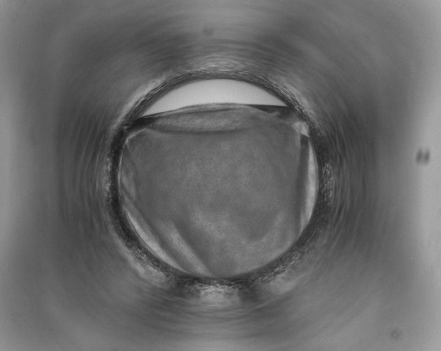 X0000090700400200708101446