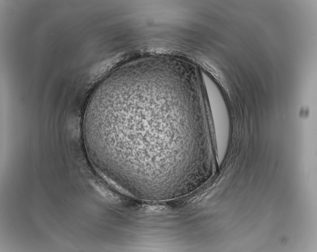 X0000090700401200708101446